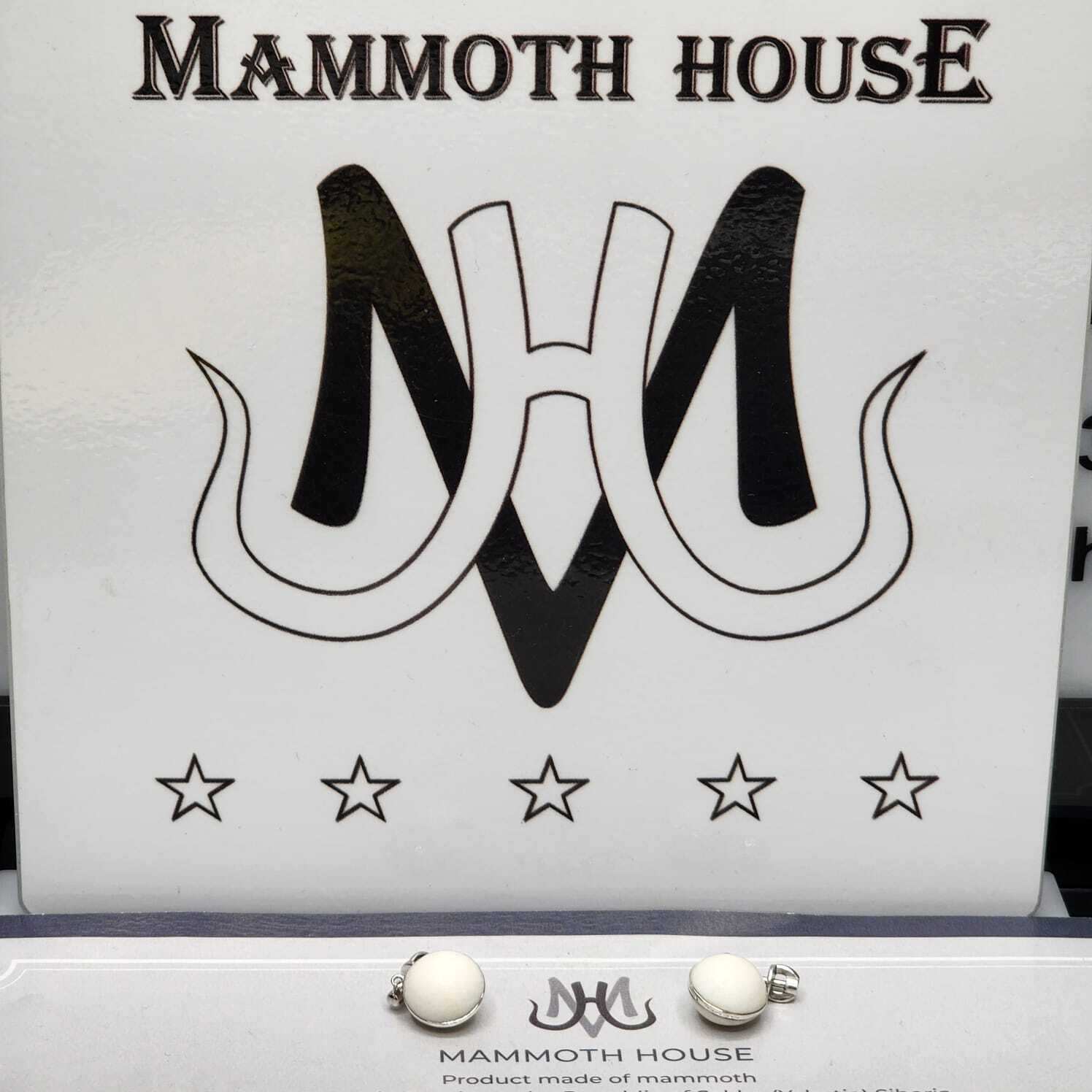Mammoth HousE / Серьги-пусеты с серебром