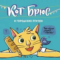 АЙАР/ Кот Брюс и городские птички
